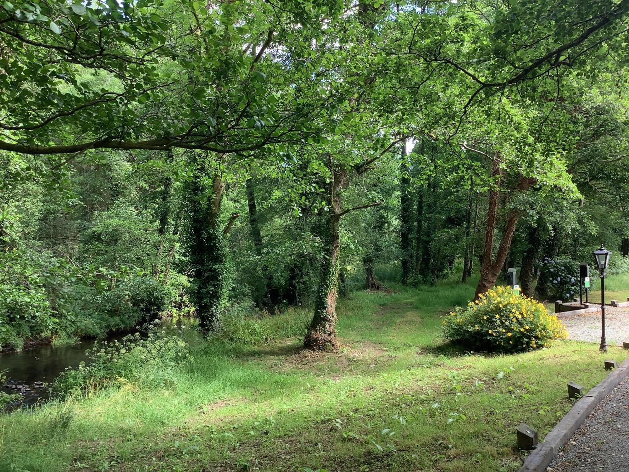 Affittacamere Gleann Fia Lower Coolcorcoran